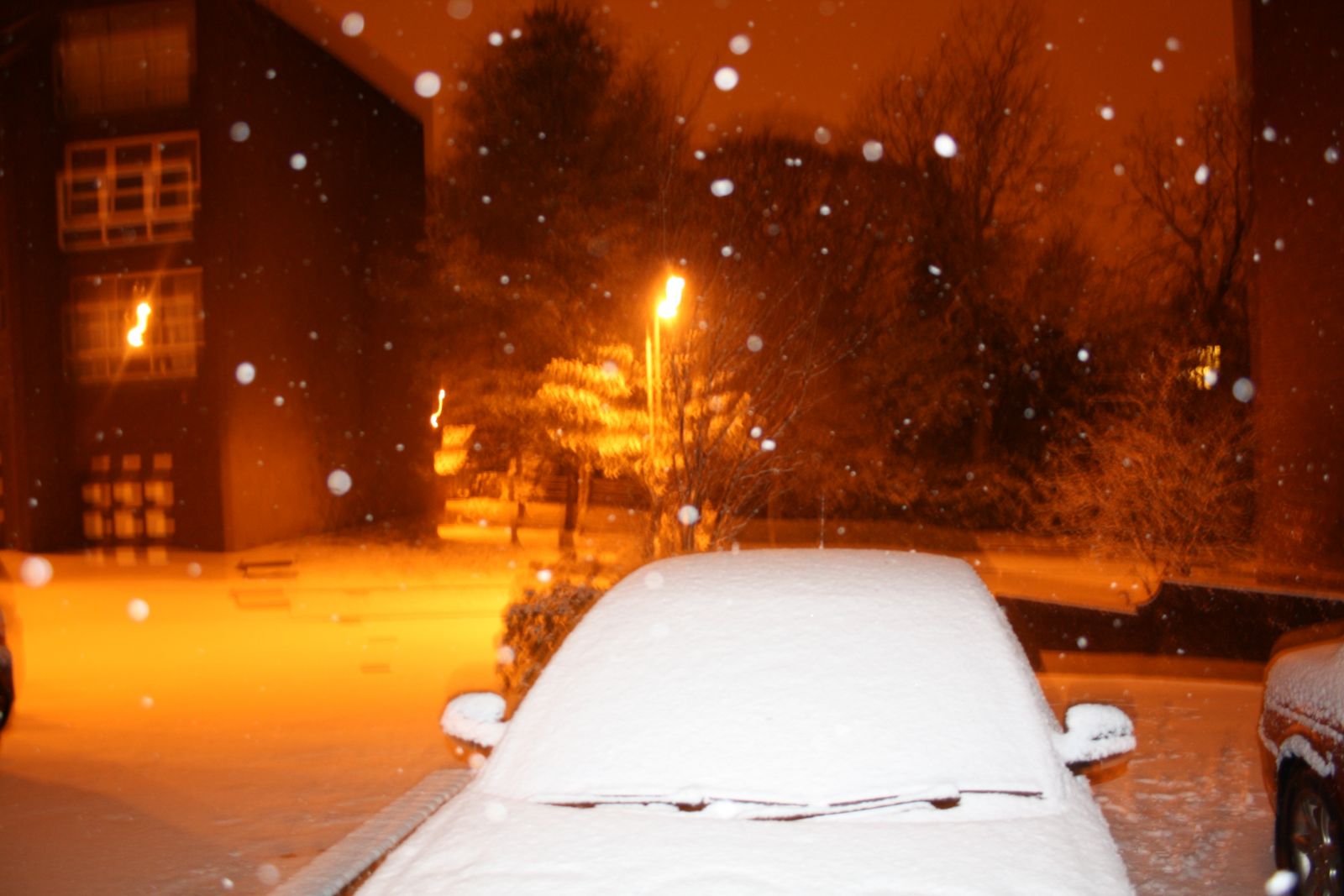 Snow Early December 2012