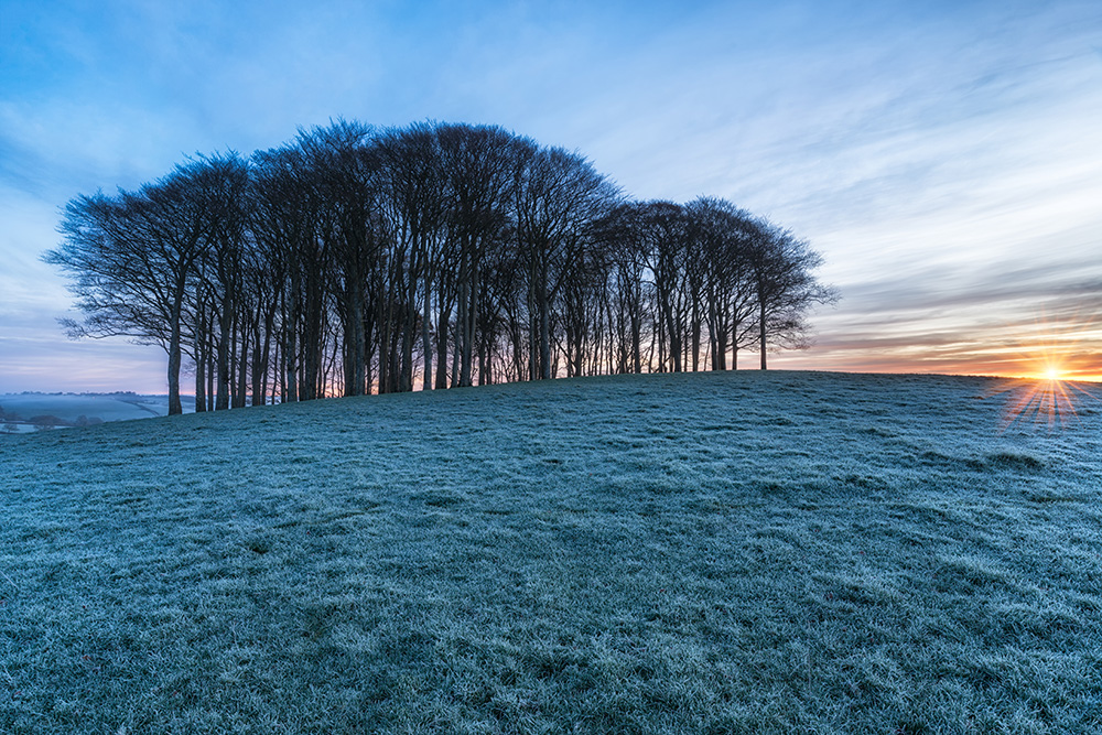 Frost watch season 17/18