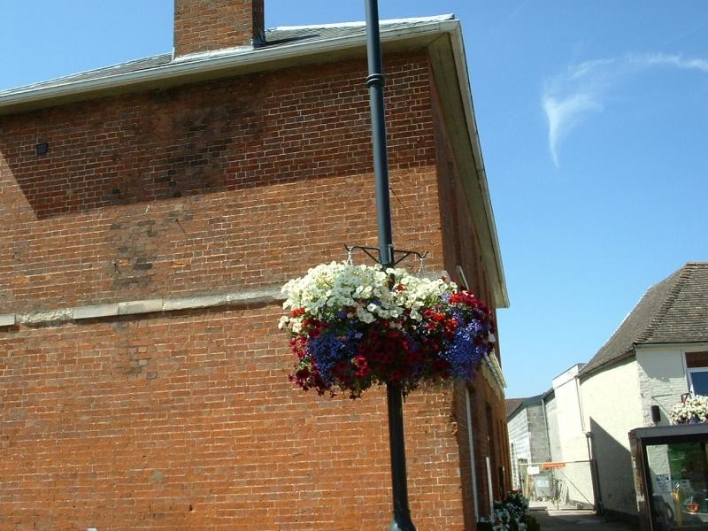 Flowers In Westbury