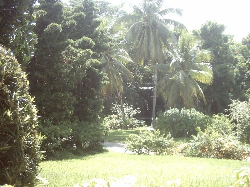 Paradise: Garden of the Groves. Grand Bahama.