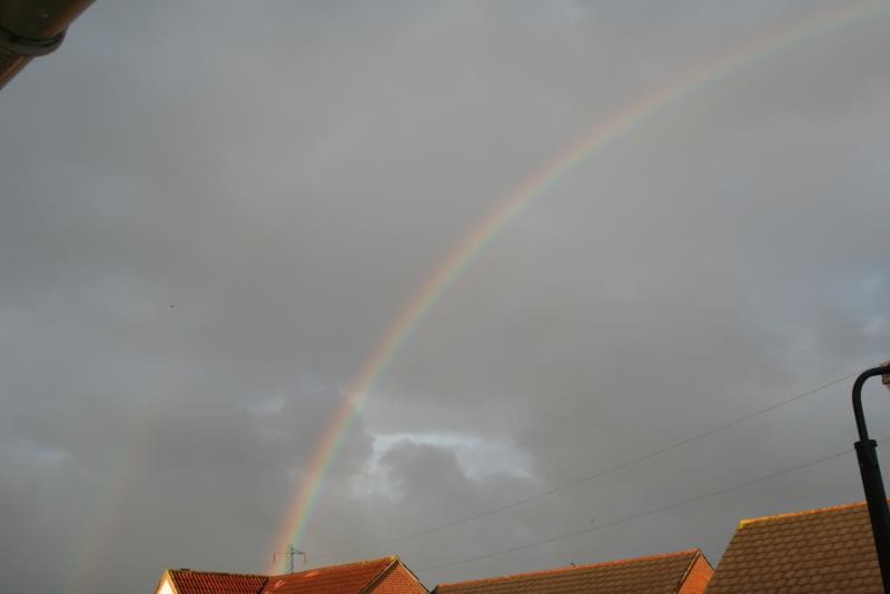 Rainbow 015.jpg