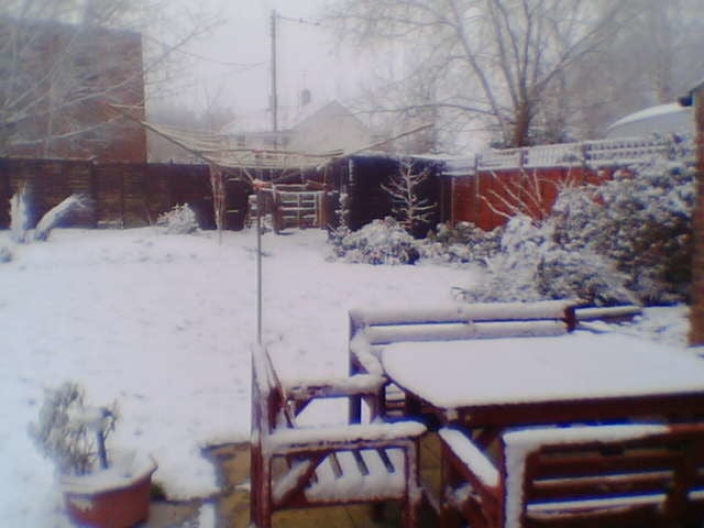 snow in Peterborough, the next one is of a pig with wings.