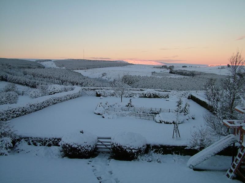 Winter wonderland - dawn breaks on fresh snow