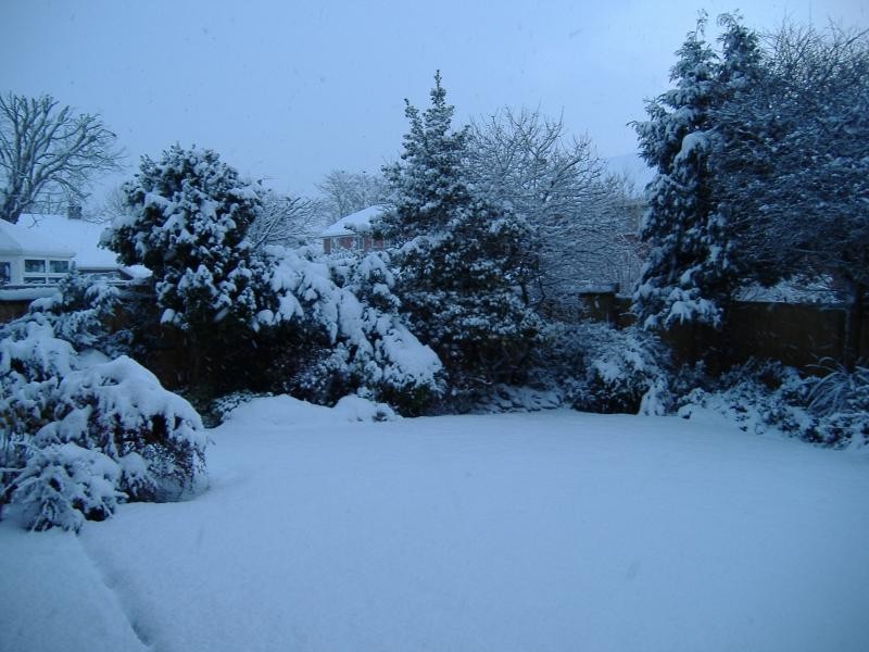 Snow in parent's garden