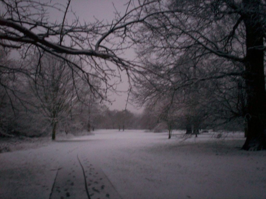 A snowy scene