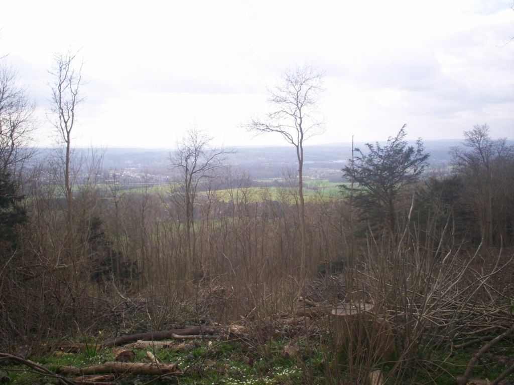 View from the north downs