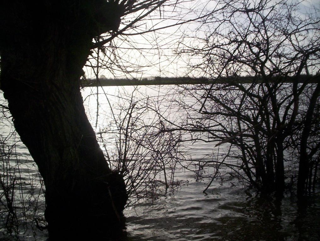 Floods January 2008