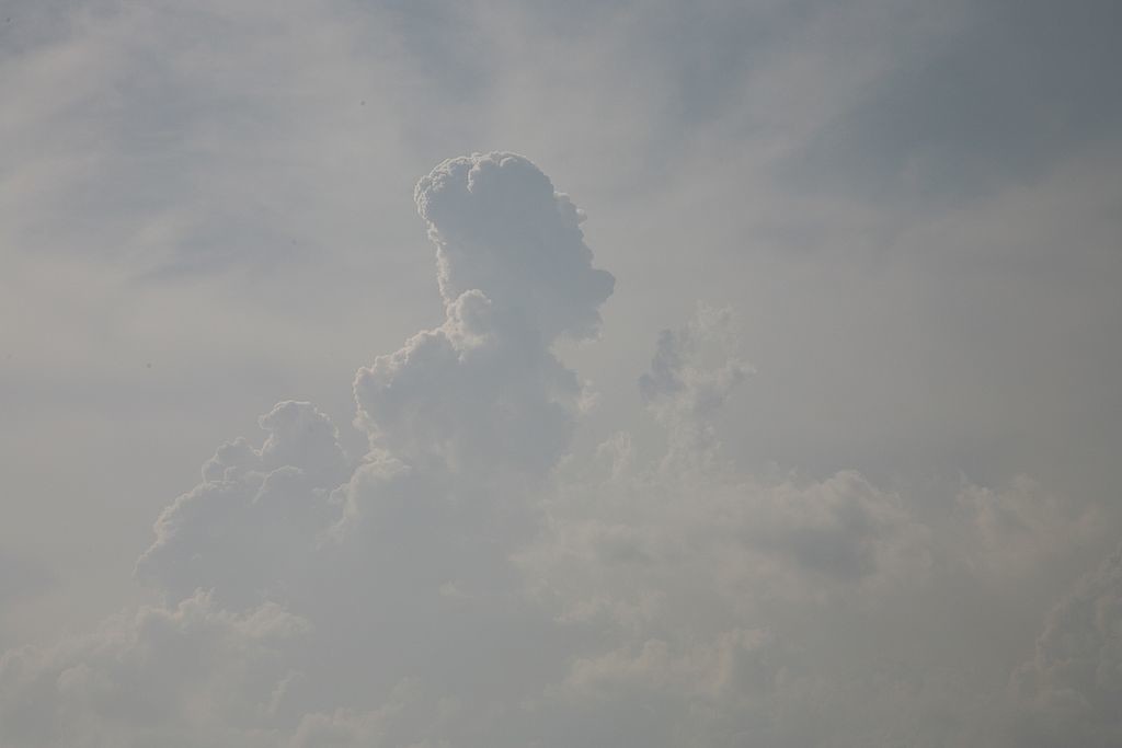 27. The top of a cumulus congestus cloud - looking just like