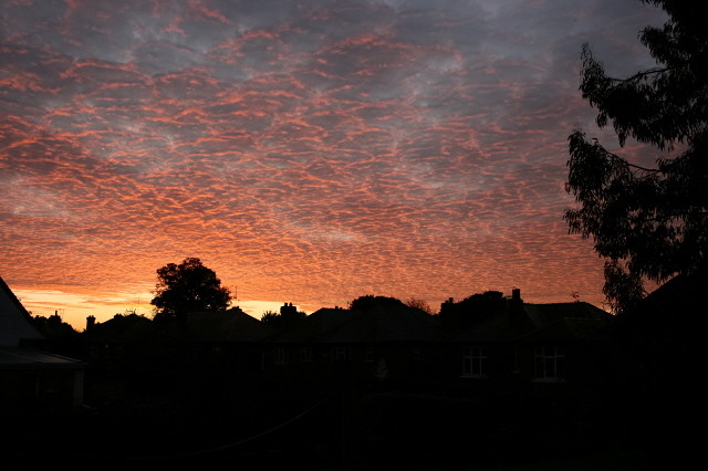 Altocumulus clouds at sunrise
