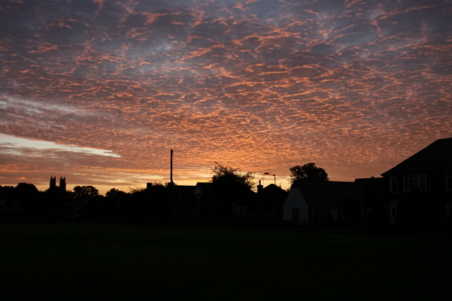 Altocumulus clouds at sunrise