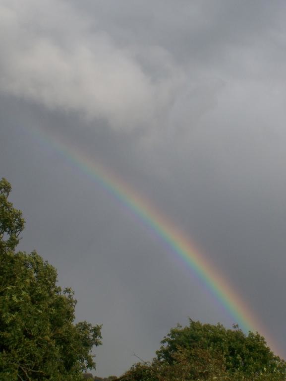 rainbow today outside my home