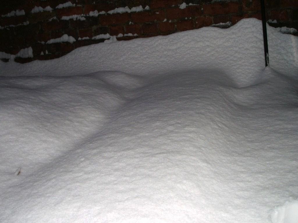 snow in yard2.JPG