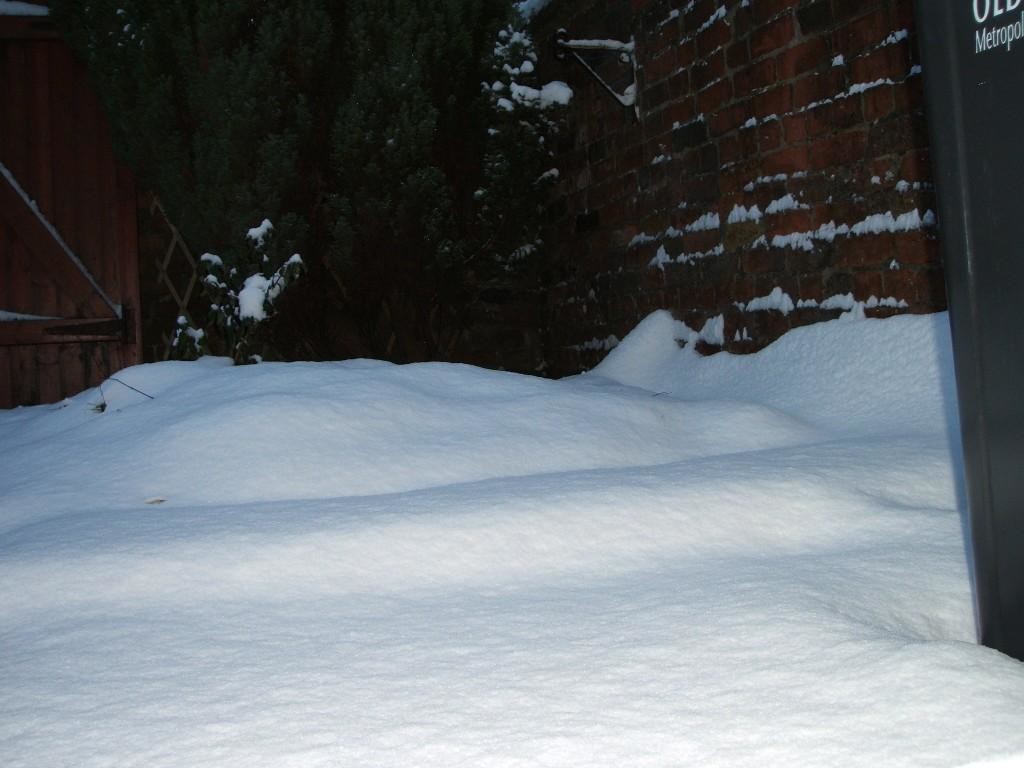 snow in yard1.JPG