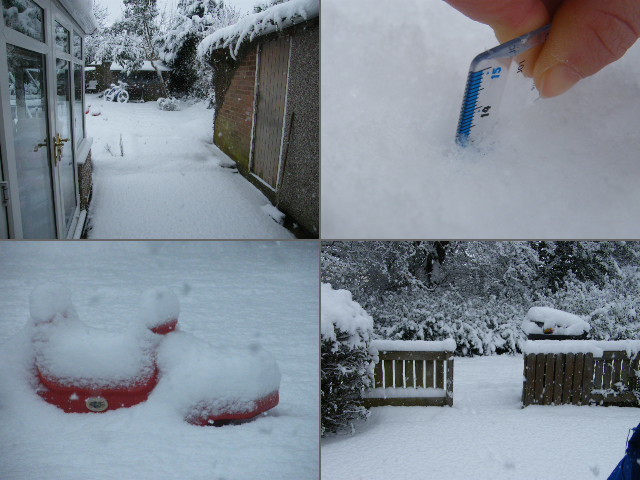 Heaviest so far for the Great Winter of 2009-2010