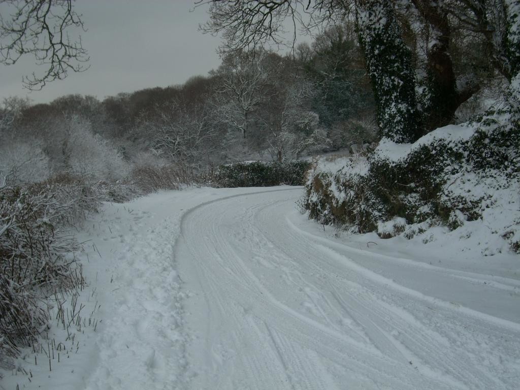 Dartmoor Lane