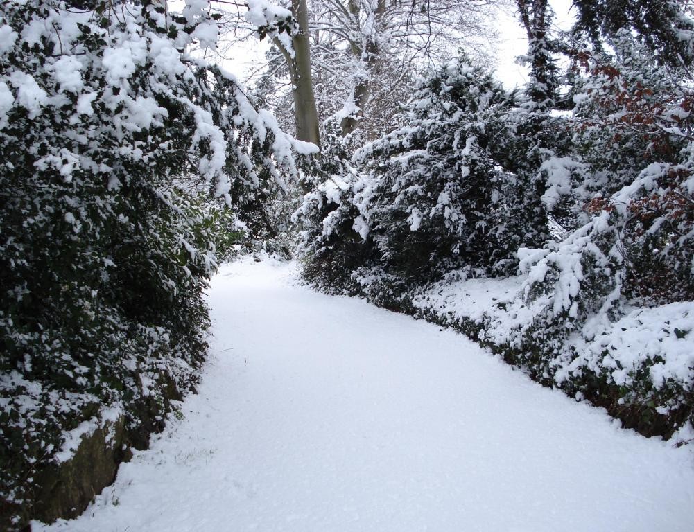 Snowy lane in Trowbridge (2).JPG