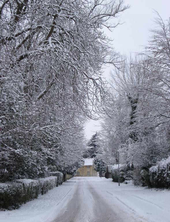 Winter Scene in Trowbridge.JPG