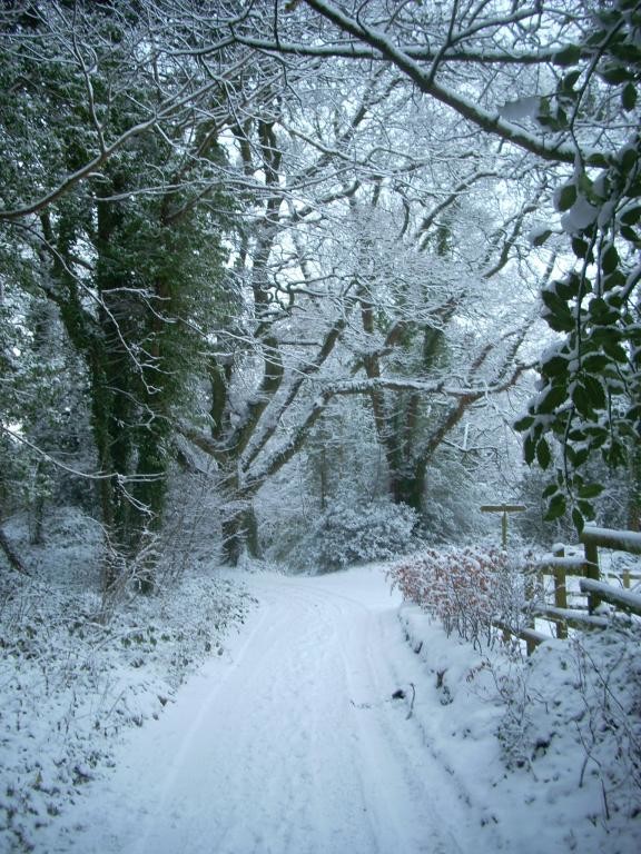 Dartmoor - A Winter Land