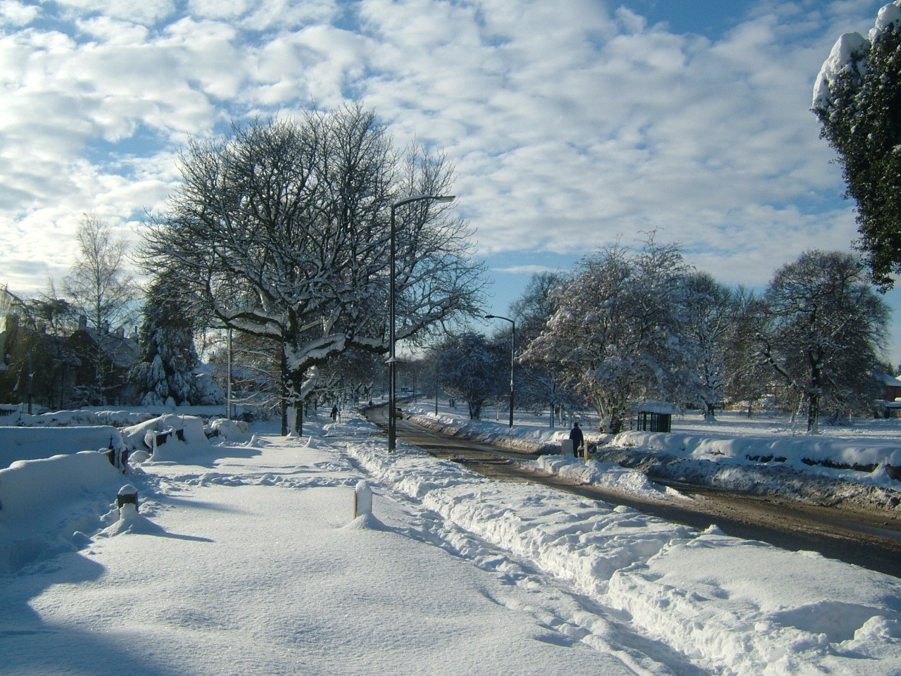 Sheffield snow 2010