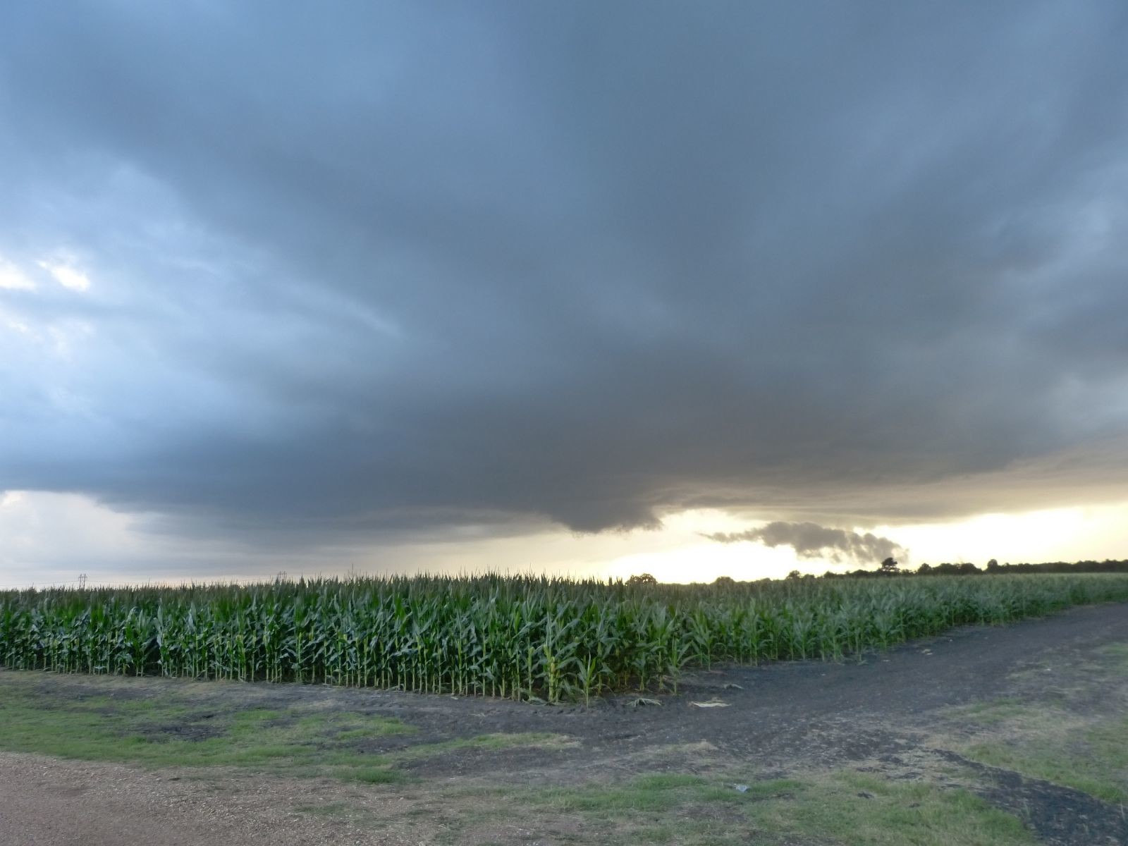 Rotating wall cloud forming across a field of corn west of Houston