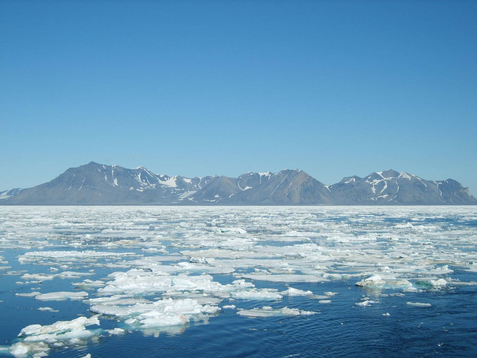 Arctic cruise July2011 132