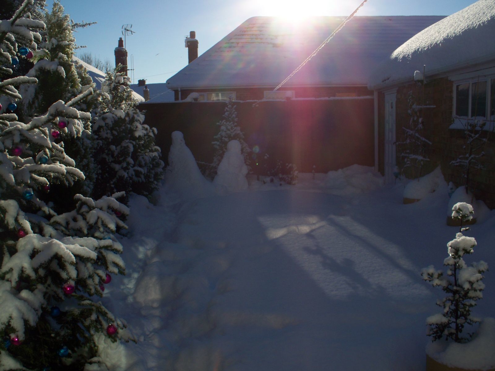 December snow 2010