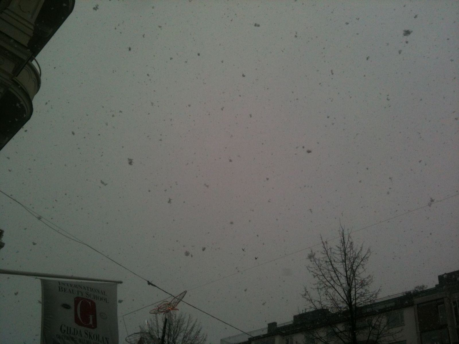Gothenburg large snowflakes