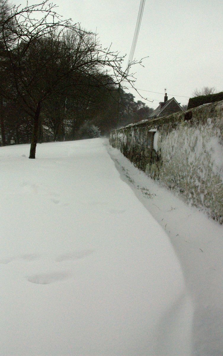 Snow drift Shaftesbury
