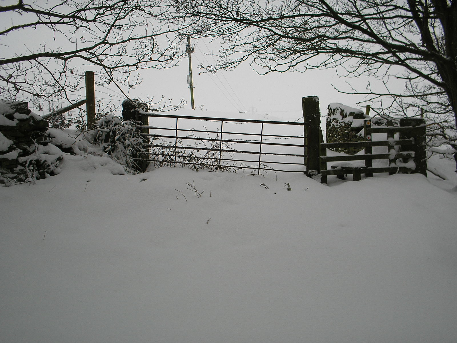 Gate to Cow Field