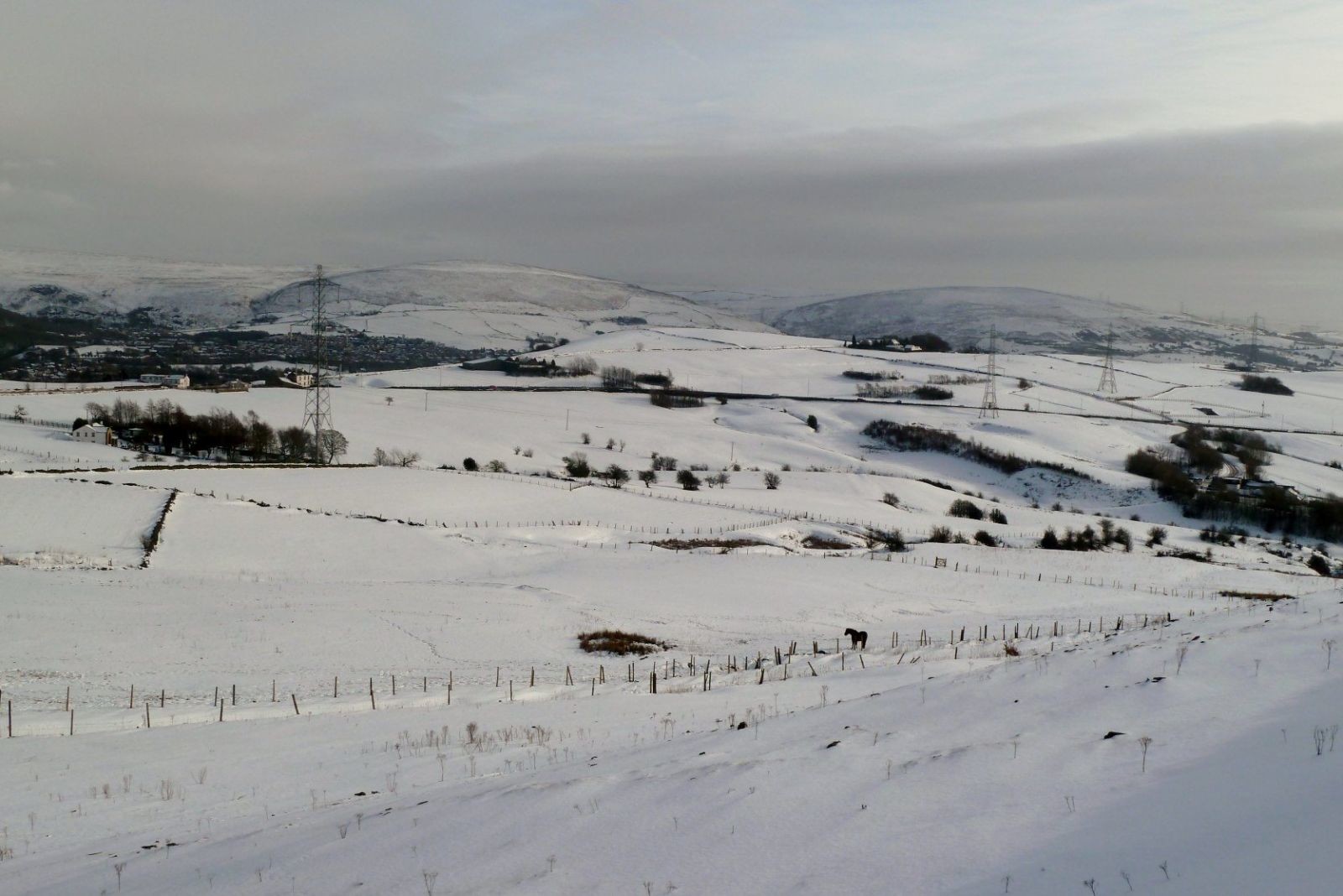 snow fields & hills