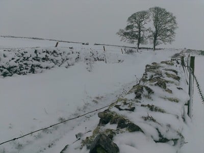 January 2013 Snow