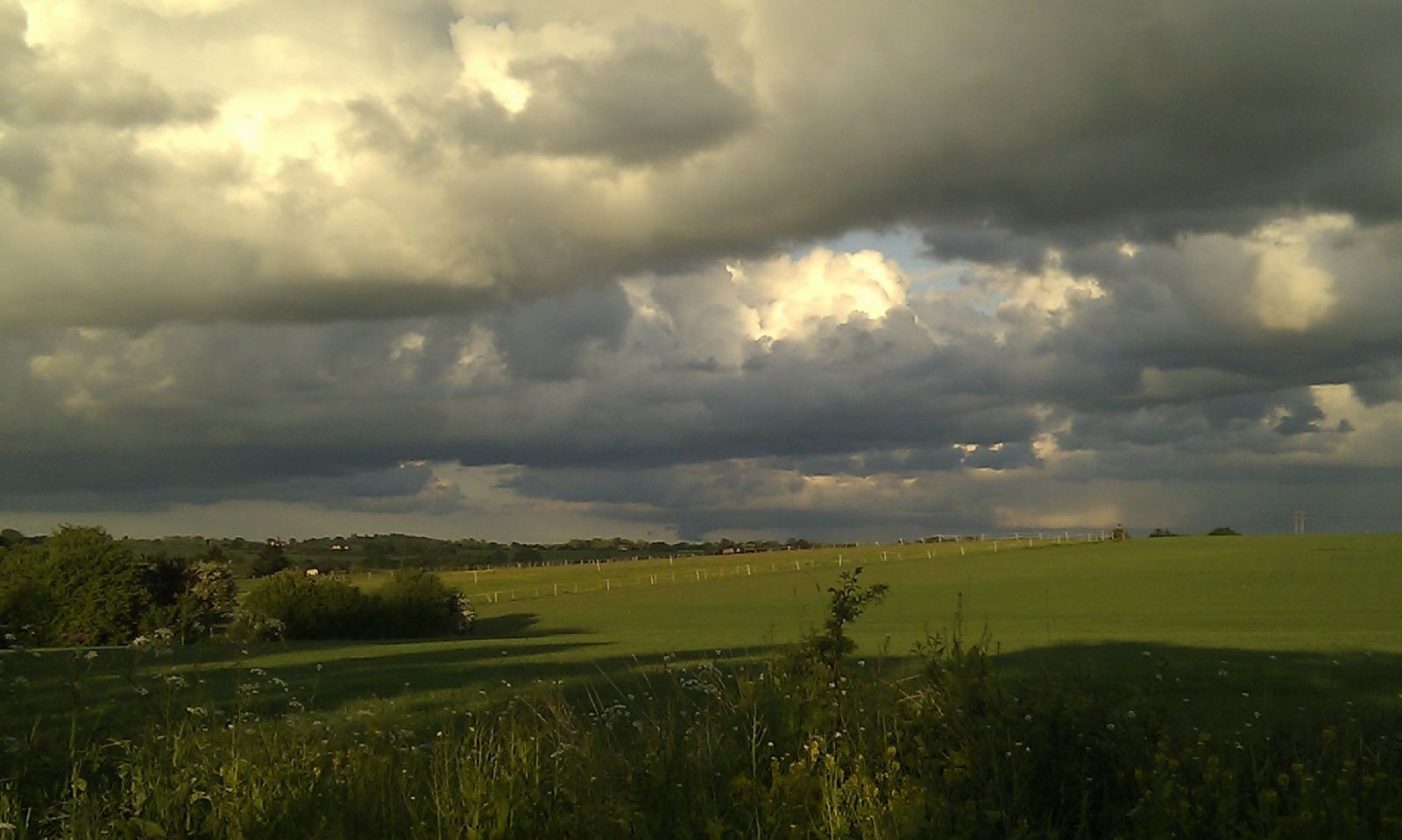 Essex landscape shot