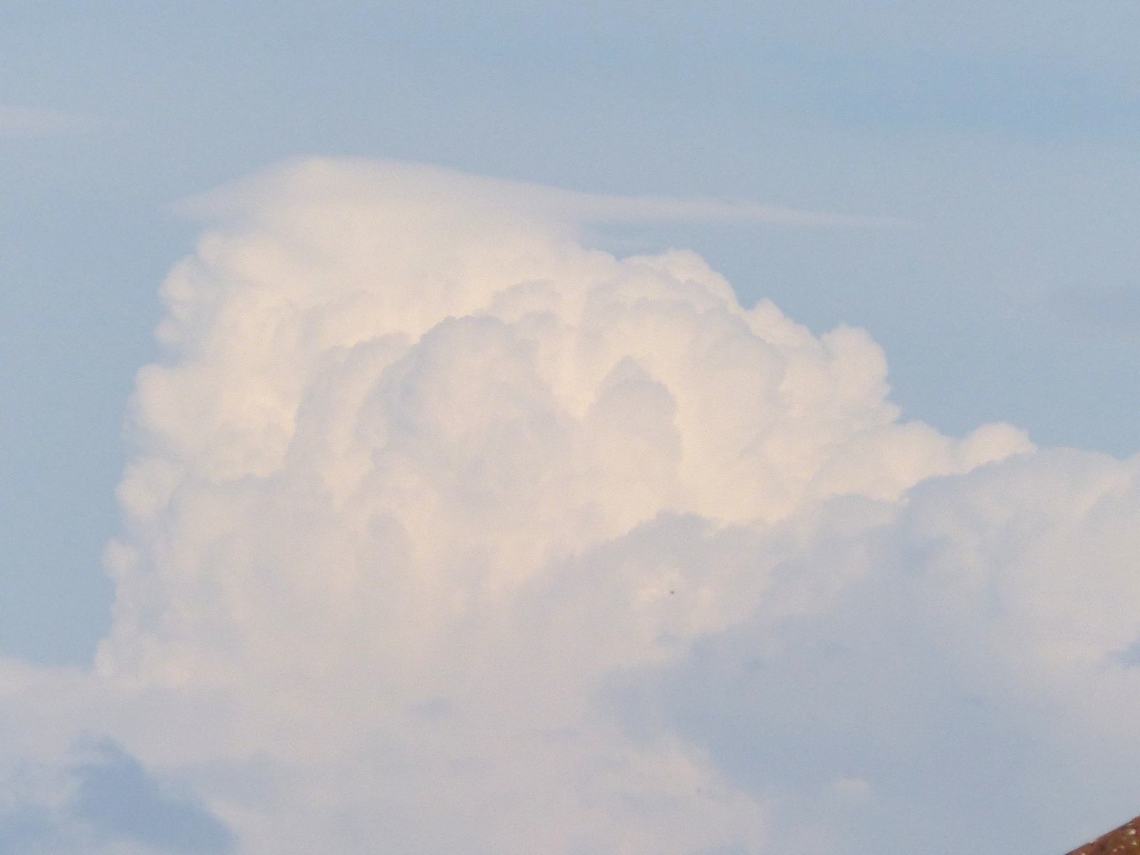 Cumulus with a hint of Pileus