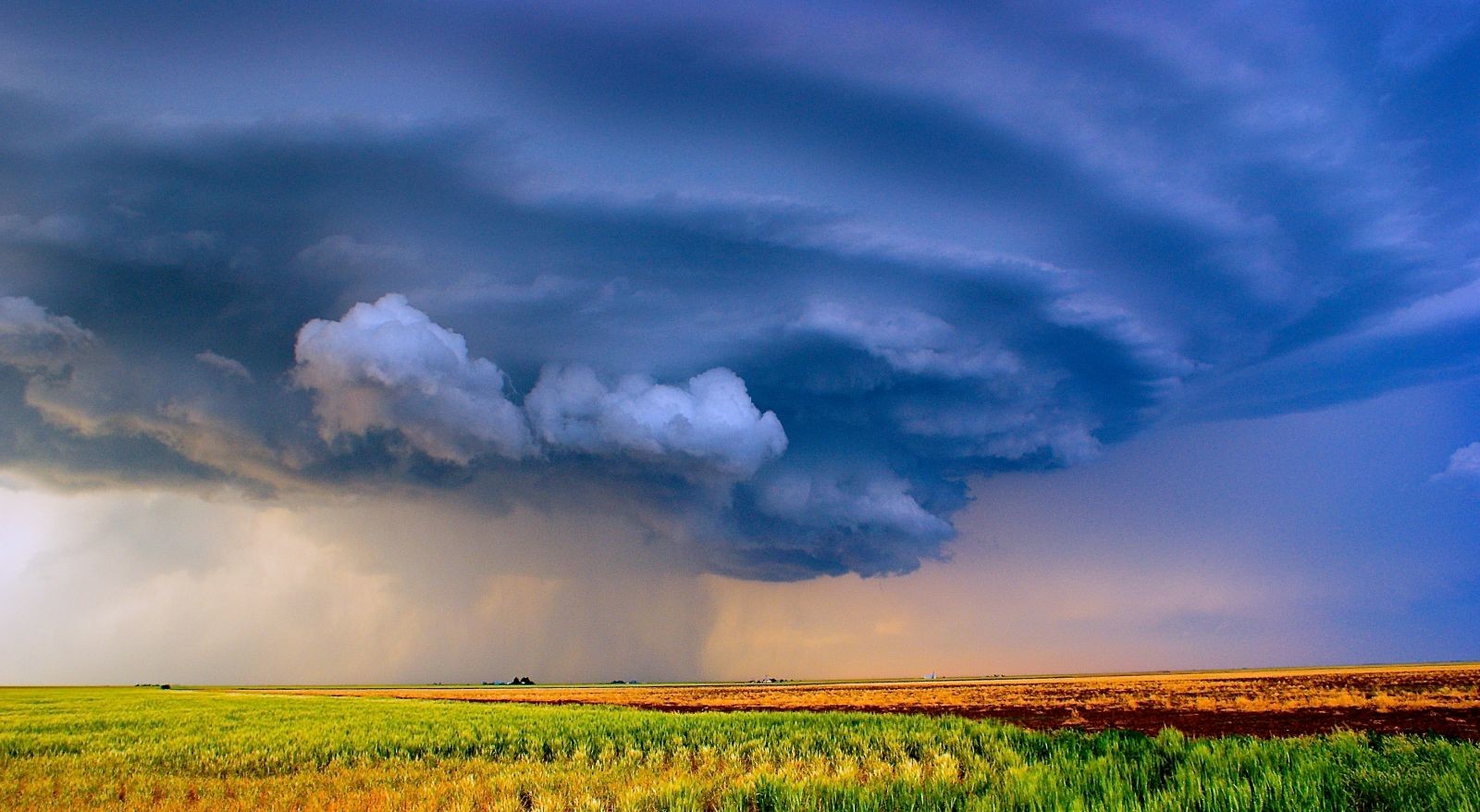 Campo Supercell