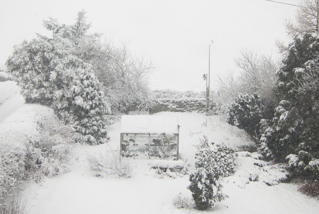 Snowy 4th February 2015