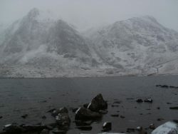 post-8895-0-37228300-1327865165_thumb.jp