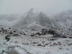 post-8895-0-43343200-1327865605_thumb.jp