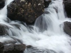 post-8895-0-43500000-1327865313_thumb.jp