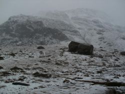 post-8895-0-46027900-1327865232_thumb.jp