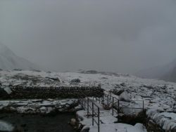 post-8895-0-51145100-1327865252_thumb.jp