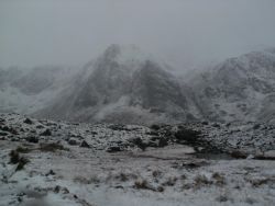 post-8895-0-81202600-1327865564_thumb.jp