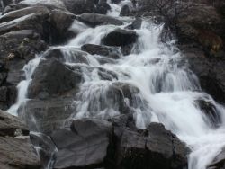 post-8895-0-98171100-1327865291_thumb.jp