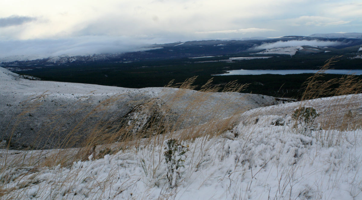 View from Cairngorm to Loch Morlich
