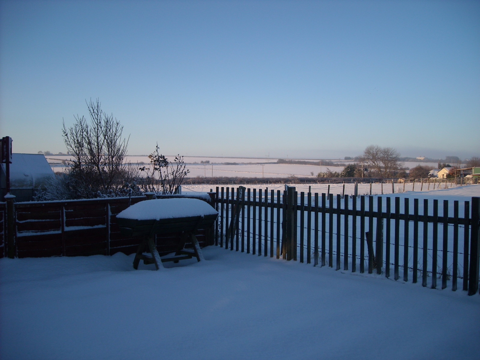 Snow 3 December 2010