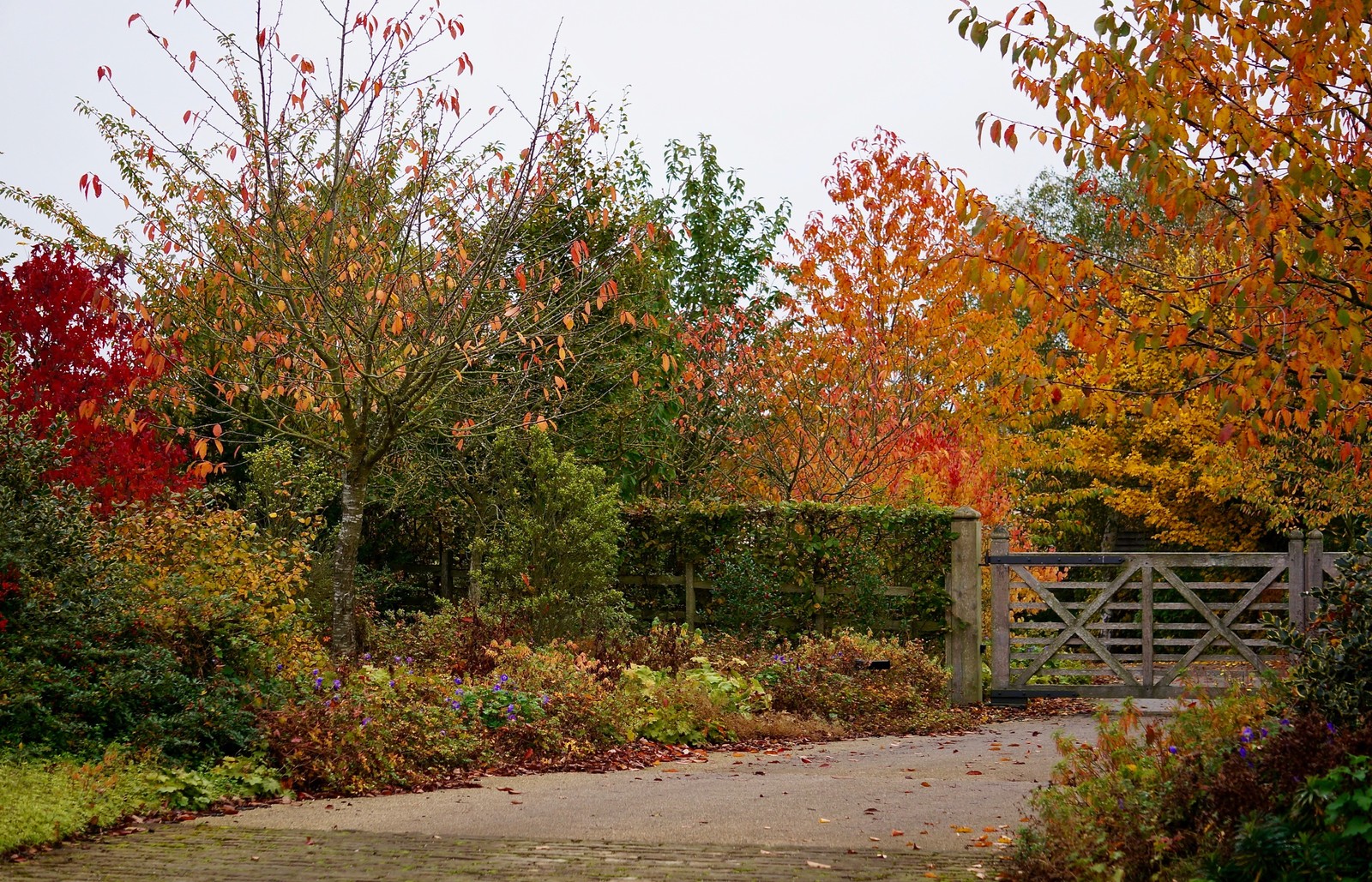 Private Lincolnshire garden