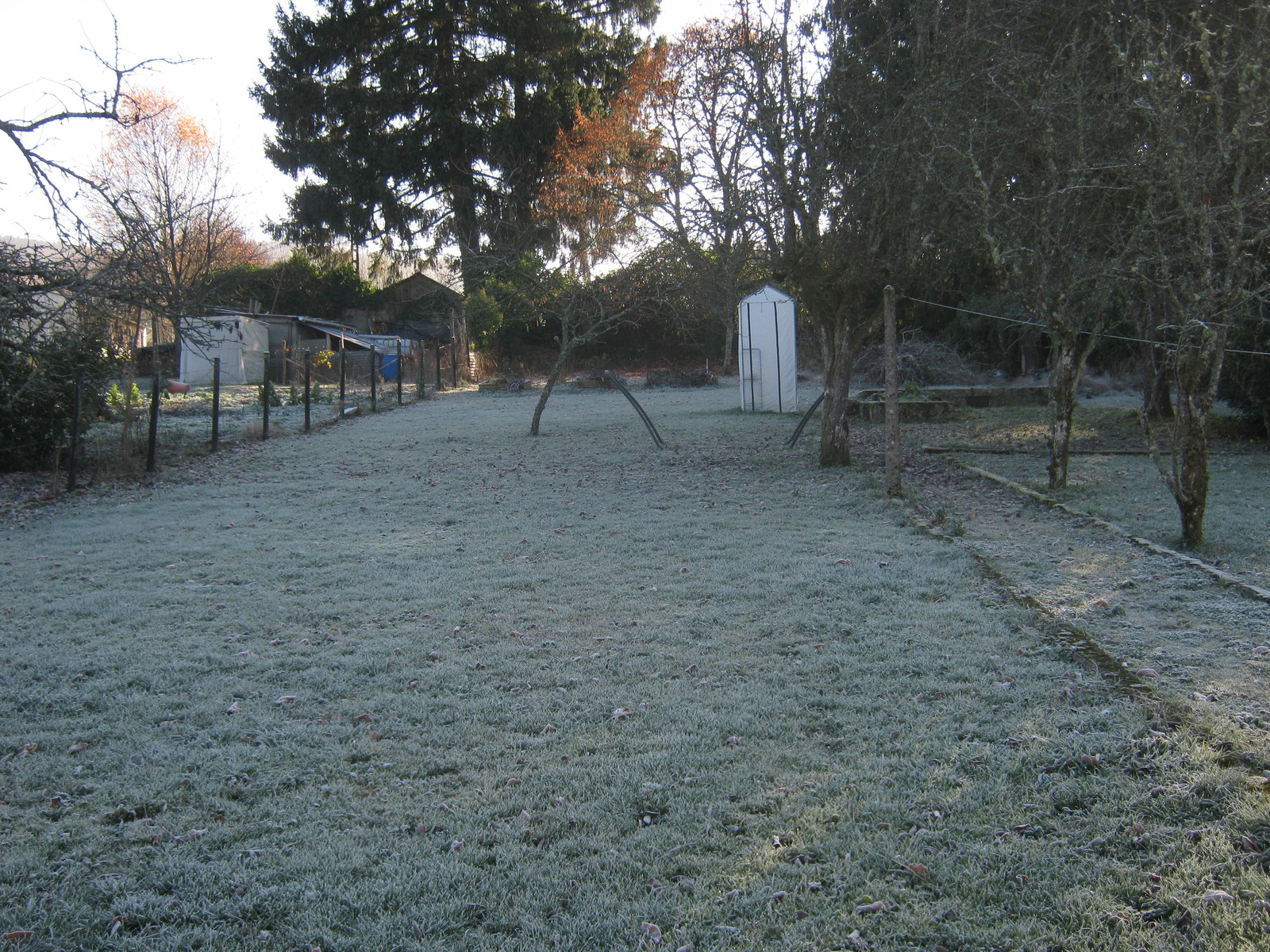 Frosty garden