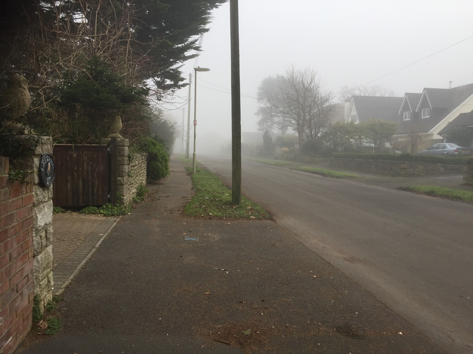 Foggy dog walk