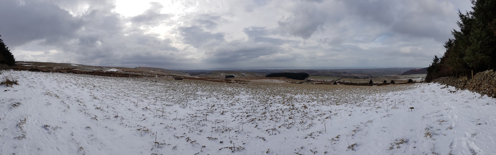 The beast from the east. Panorama