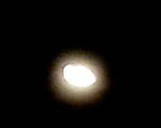 A Moon lit night