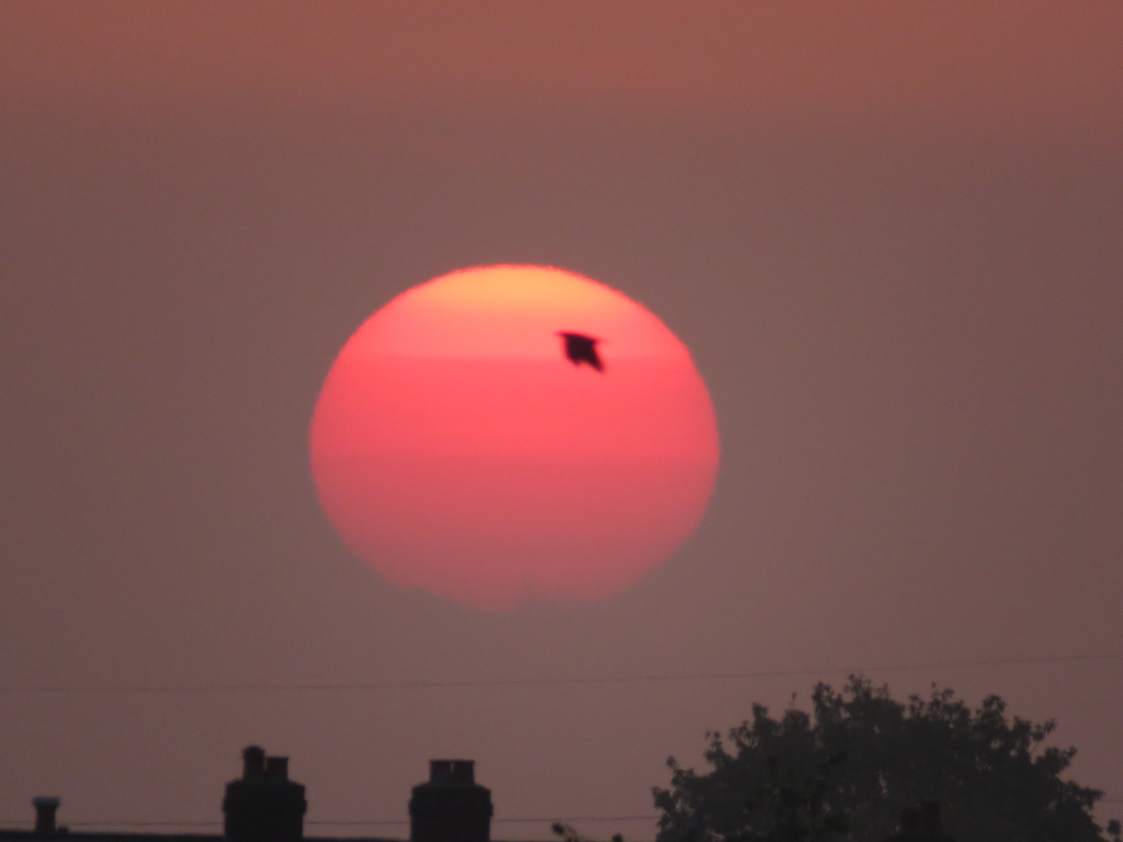 Sun rise through Saharan dust from Irlam, UK